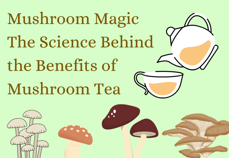 Mushroom Magic: The Science Behind the Benefits of Mushroom Tea
