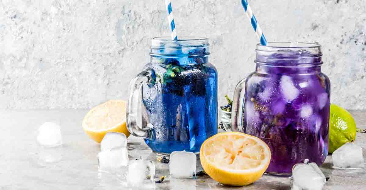 Blue Peaflower Ideas and Recipes | Tea Life Australia