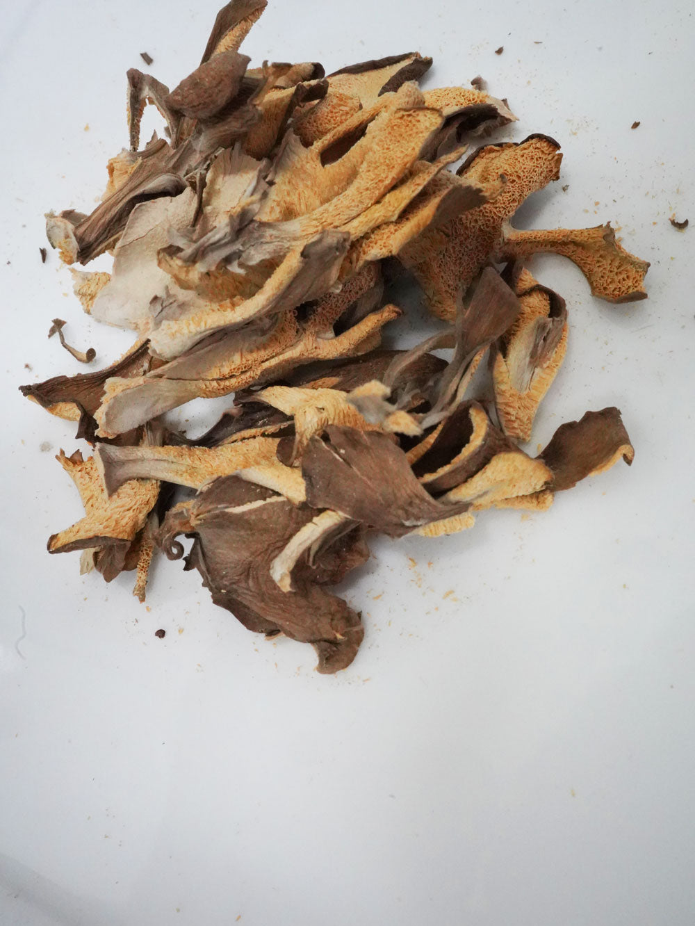 Maitake Mushroom Tea