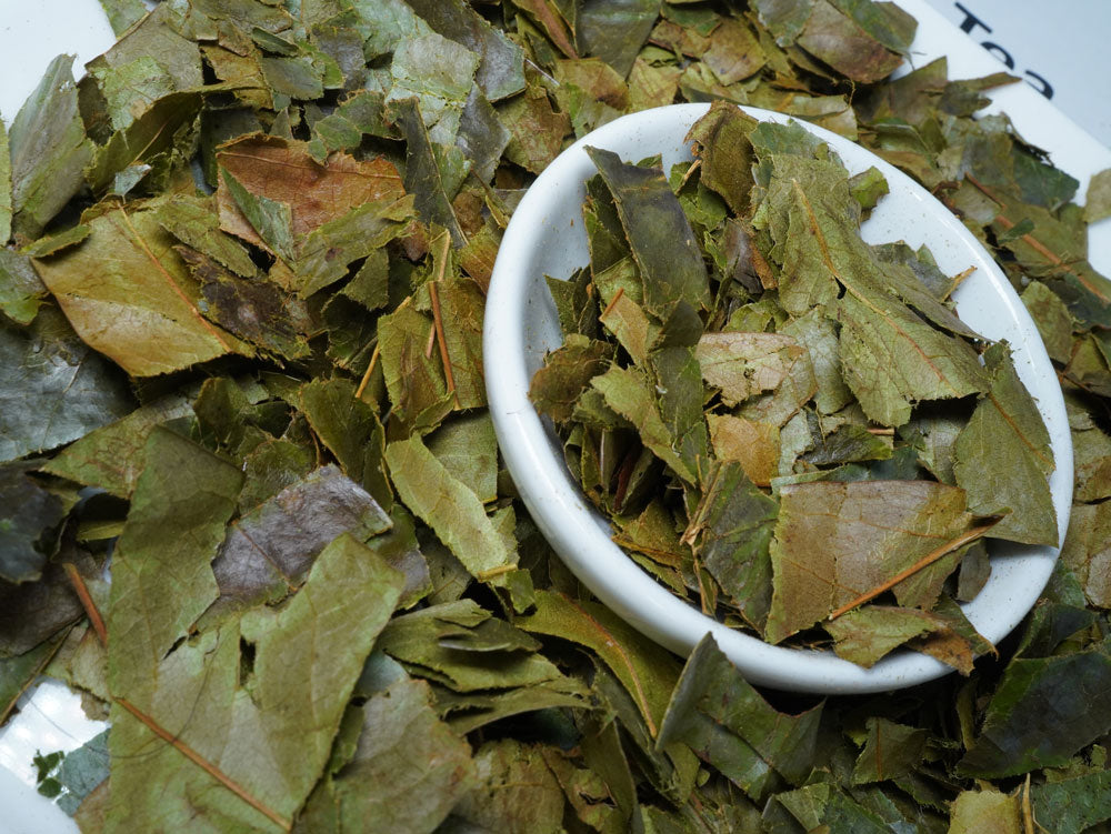 Soursop Leaf Tea