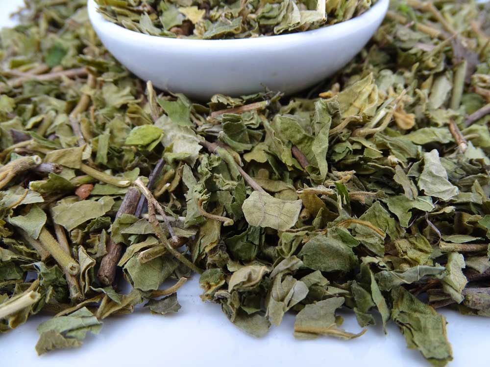 Gymnema Sylvestre Tea - Herbal Tea - Anti-inflammatory, Caffeine Free, Catch, Diabetes, Kogan, spo-default, spo-disabled - Tea Life™