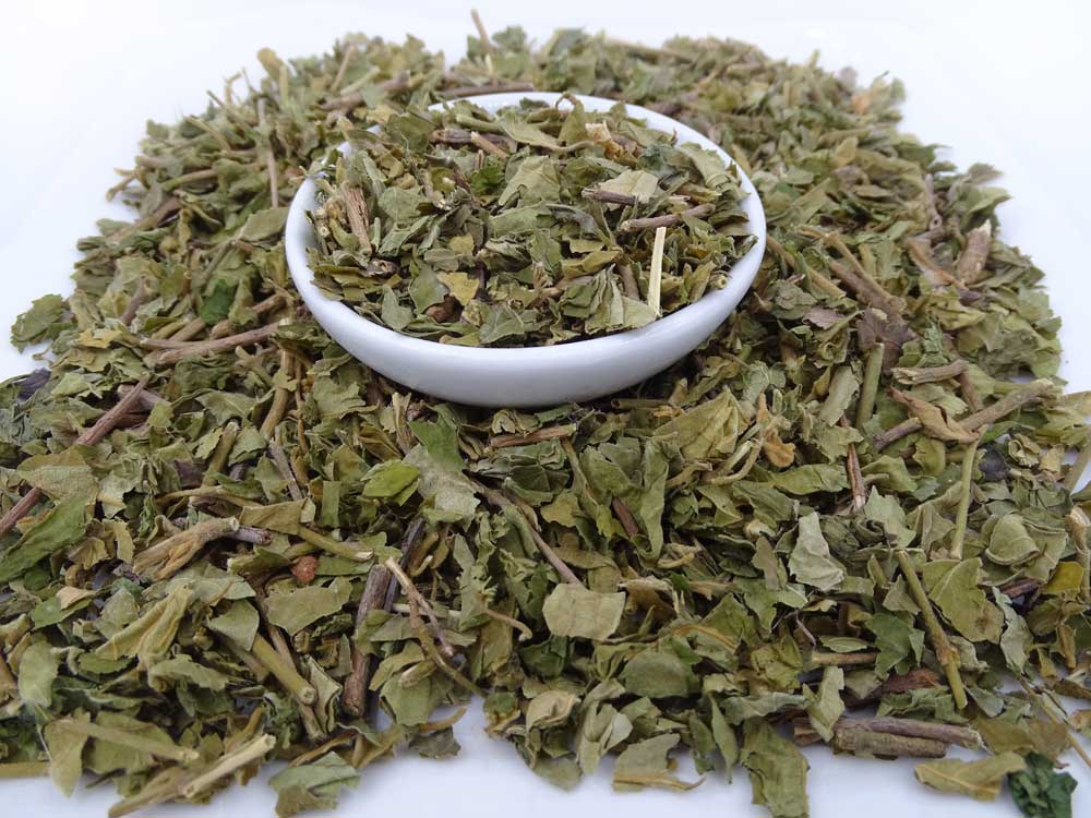 Gymnema Sylvestre Tea - Herbal Tea - Anti-inflammatory, Caffeine Free, Catch, Diabetes, Kogan, spo-default, spo-disabled - Tea Life™