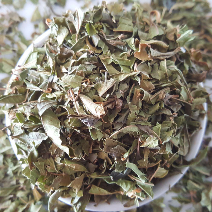 Lemon Verbena Tea - Herbal Tea - Caffeine Free, Catch, Common Cold, Digestion, Kogan, Skin Cleansing, spo-default, spo-disabled - Tea Life™