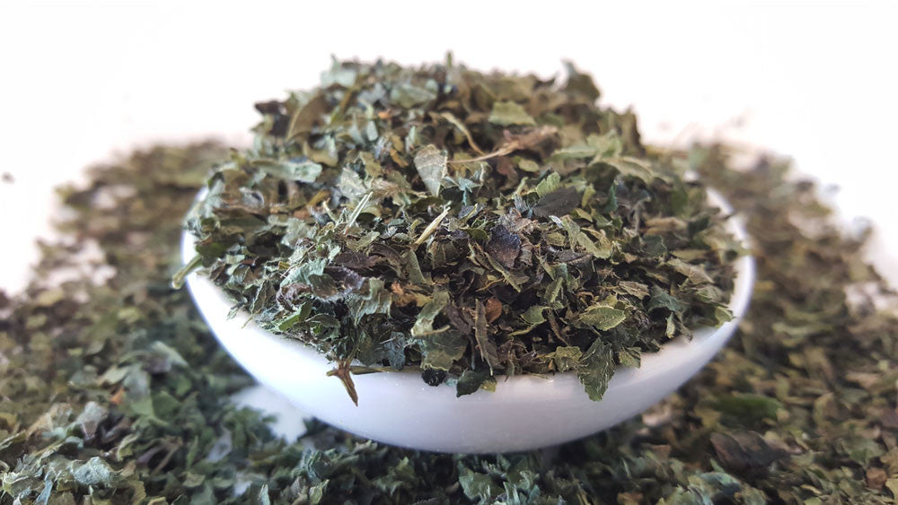 Nettle Tea - Herbal Tea - Allergies, Anti-inflammatory, Arthritis, Caffeine Free, Catch, Diuretic, Kogan, pregnancy, spo-default, spo-disabled - Tea Life™